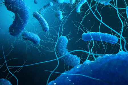 Enterobacterias 克 negativas Proteobacteria, 细菌如沙门氏菌, 大肠杆菌, 鼠疫耶尔森
