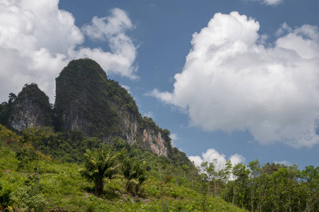 丛林中的山峰