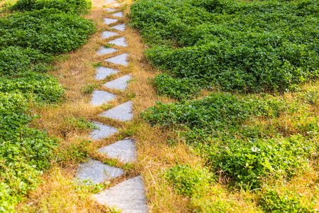 在花园的通路，绿色草坪砖通路，园林景观设计