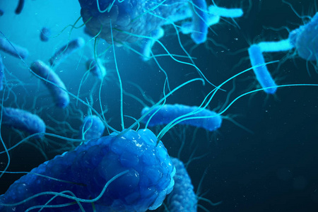 革兰 negativas proteobacteria, 细菌如沙门氏菌, 大肠杆菌照片