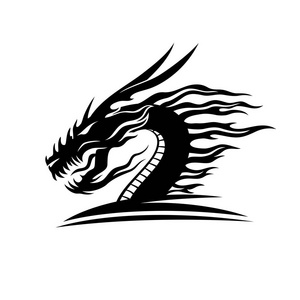 白色背景下的黑龙标志照片