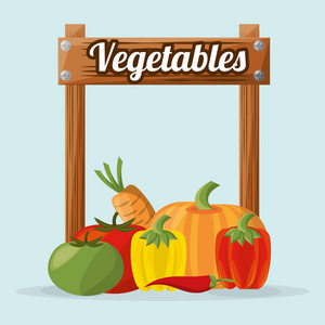 蔬菜有机自然形象