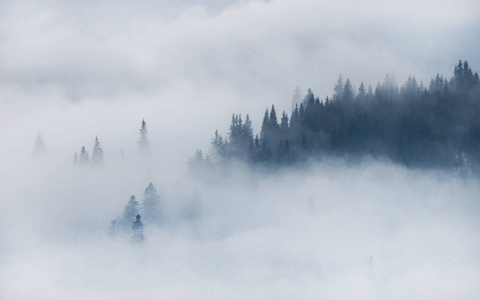 美丽的冬天景观在山上。日出。Carpatian 谷与雾和雪。喀尔巴阡山冬季。清晨光躺在山山顶上