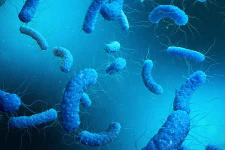 Enterobacterias 克 negativas Proteobacteria, 细菌如沙门氏菌, 大肠杆菌, 鼠疫耶尔森