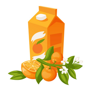 桔子和橙色产品矢量插画天然柑橘果实矢量多汁热带甜点美有机果汁健康食品