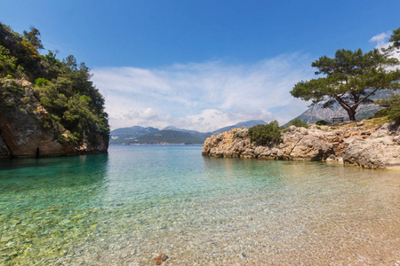 美丽的海海岸