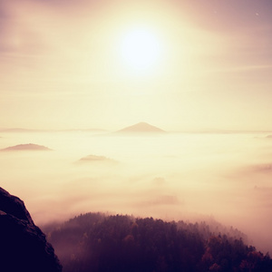 午夜。月圆夜美丽波西米亚萨克森瑞士山。从大雾增加丘陵高峰和树