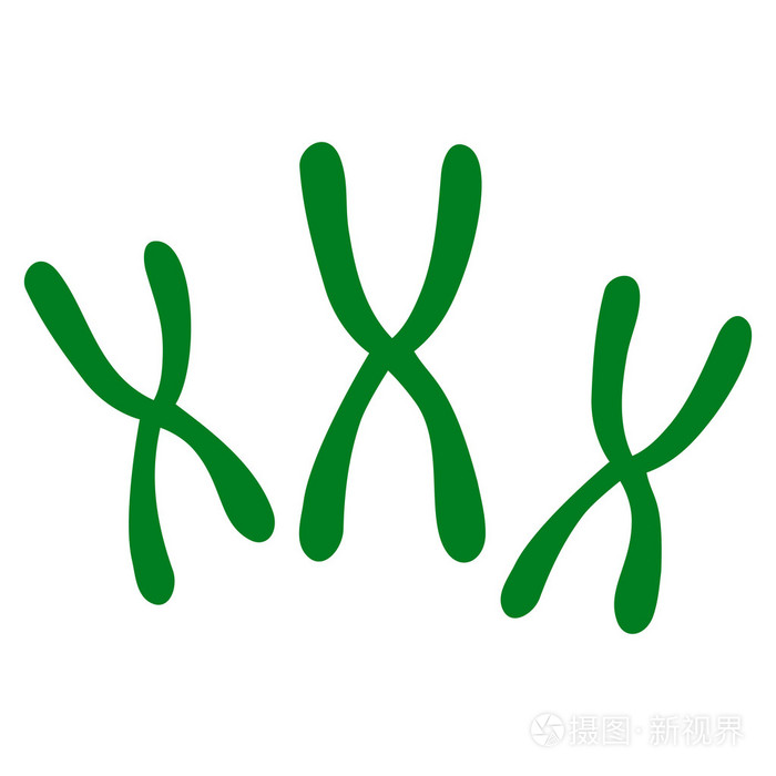 染色体平面图标