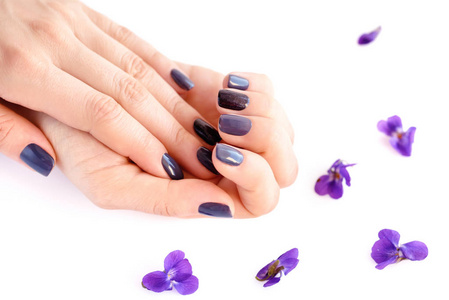 在白色背景上的钉子和花紫罗兰暗修指甲与一个女人的手