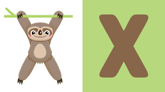 x 是给 xenarthra 的字母十 xenarthra, 可爱的插图.动物字母表照片