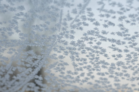 冰冷的花朵冰冻的窗户玻璃模糊