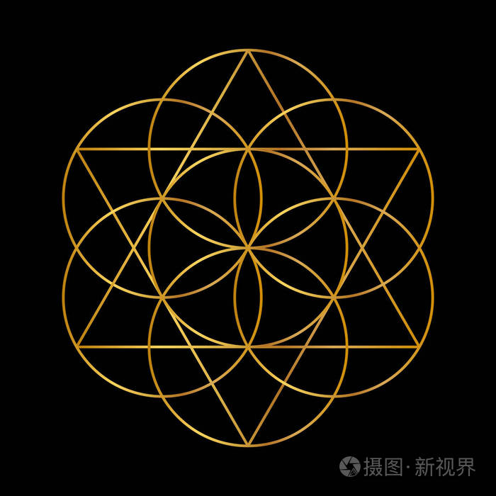 矢量的生命之花