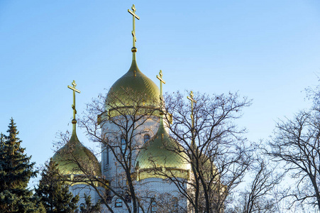 风景与教会正统教会的金黄圆顶图片