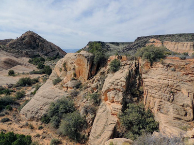 砂岩和熔岩岩石山和沙漠植物的看法在红色峭壁国家保护区附近在黄色山丘徒步旅行路线位于犹他州西南, st. 乔治的北部莫哈韦沙漠的