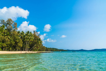 美丽的热带海滩和海