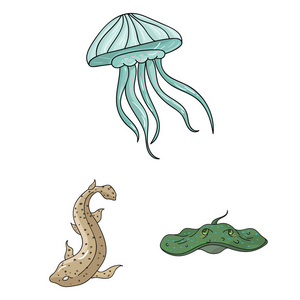 各种海洋动物卡通图标集的设计收藏。鱼和贝类矢量符号股票网页插图