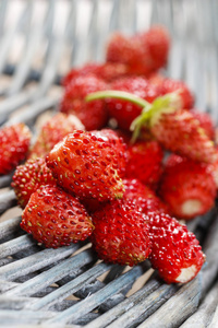 野草莓水果