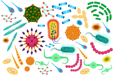 病毒细菌图标设置。卡通平颜色矢量图
