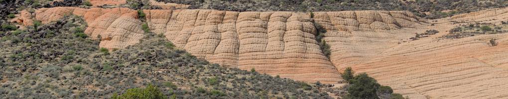 砂岩和熔岩岩石山和沙漠植物的看法在红色峭壁国家保护区附近在黄色山丘徒步旅行路线位于犹他州西南, st. 乔治的北部莫哈韦沙漠的