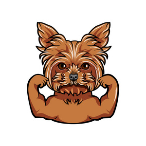 肌肉.狗运动员.狗品种.向量照片