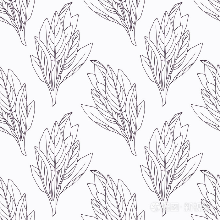 手工绘制的鼠尾草分支轮廓无缝图案插画-正版商用图片0n69k0-摄图新