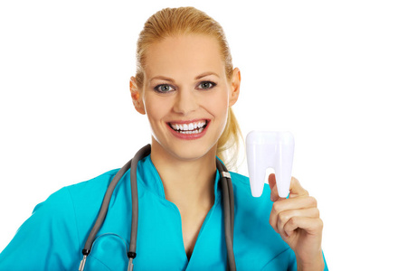 快乐牙医女人用听诊器持有牙齿模型