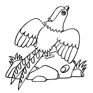 孔雀在农场图片-孔雀在农场素材-孔雀在农场插画-摄图新视界