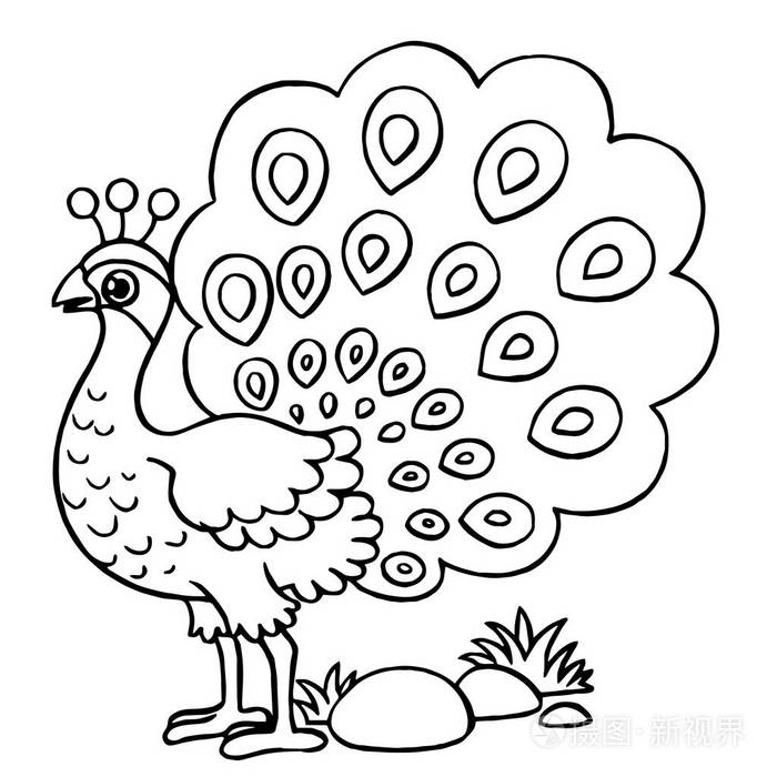 可爱的卡通孔雀白色背景为儿童版画, t恤, 彩色书, 有趣和友好的性格