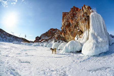 岩石受冬季西伯利亚 Baikail 湖上的冰