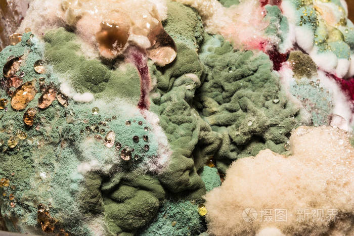 被宠坏的食物上有色霉菌的密集形成, 抽象特写背景