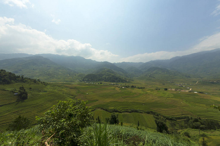 风景山和稻田