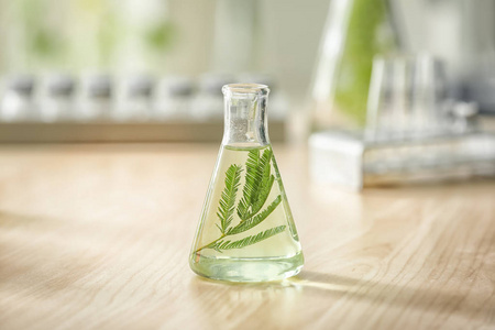 实验室内桌上有植物的烧瓶