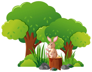 兔子在森林里教育卡通将继续彩色动物的合乎逻辑的回家方式.