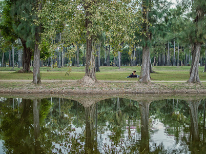 一对夫妇坐，放松下公园里的树木