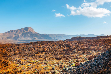 Teide , 特内里费岛, 加那利群岛景观景观