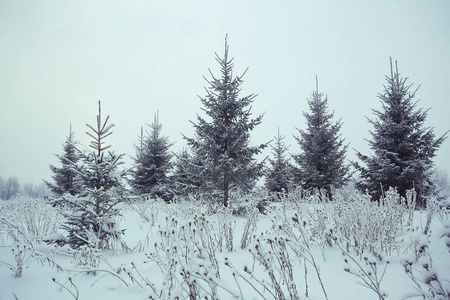 俄罗斯冬季景观