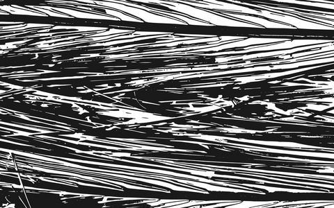 黑白草剪影纹理质朴的背景照片