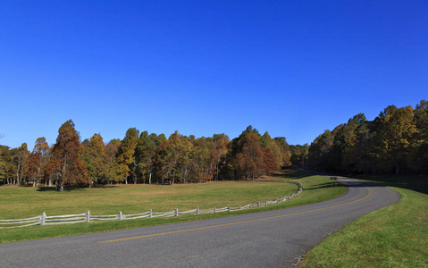 弯曲的大路图片