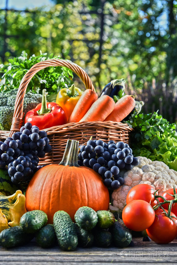 各种新鲜有机蔬菜和水果在花园里