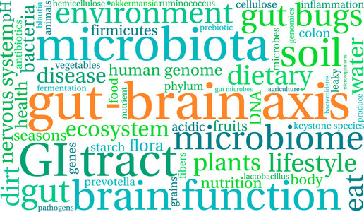 肠脑轴词云