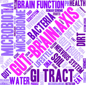 肠脑轴词云图片