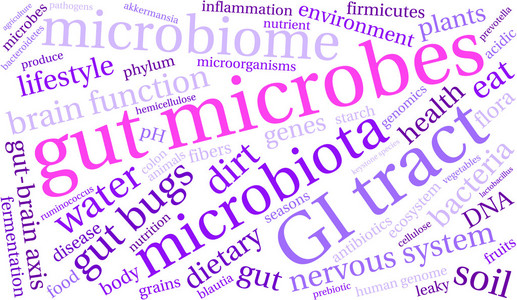 肠道微生物词云