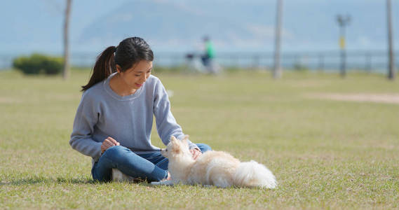 在户外公园和她的狗玩耍的女人