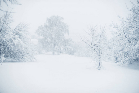 村里的冬天下雪了。雪塌