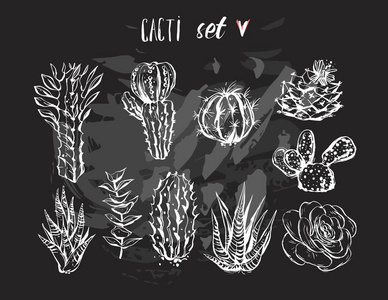 手绘矢量图形创意多汁植物,仙人掌和植物集合集孤立在黑色背景上.