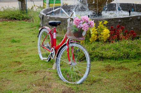 花园里的旧经典红色自行车