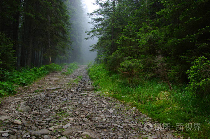 在山上的石头路
