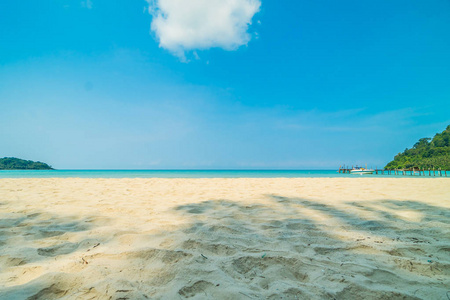 美丽的热带海滩和海与椰子棕榈树在天堂海岛为旅行和假期