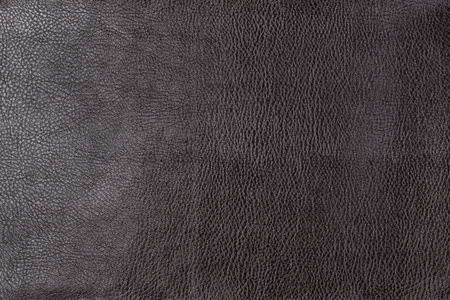 真皮纹理图片-真皮纹理素材-真皮纹理插画-摄图新视界