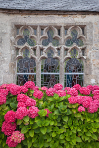 古装饰窗, 彩色玻璃和绣球花